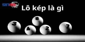 Lô kép sin88 là gì? tìm hiểu ngay