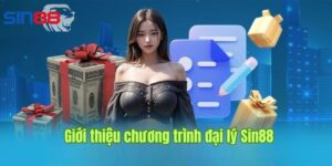 Tổng quan về hệ thông đại lý sin88